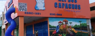 Imagem 13 da empresa REI DOS  CAPACHOS Tatame em Brasília DF