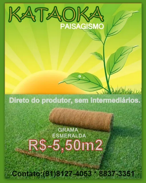 Imagem 2 da empresa GRAMA