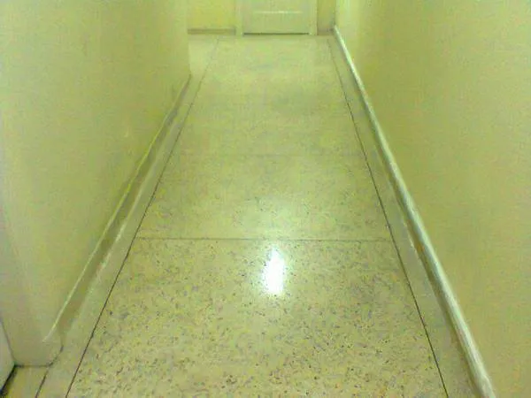 Imagem 14 da empresa FOX DEL SERVICE PORTARIA E LIMPEZA