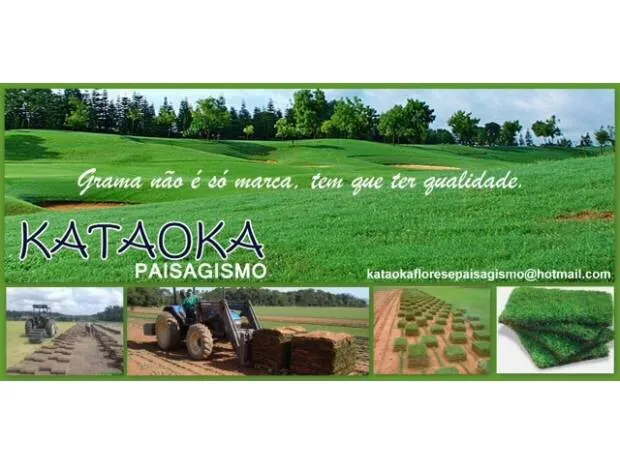 Imagem 1 da empresa GRAMA