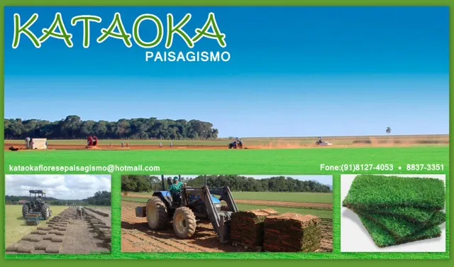 Imagem 8 da empresa GRAMA