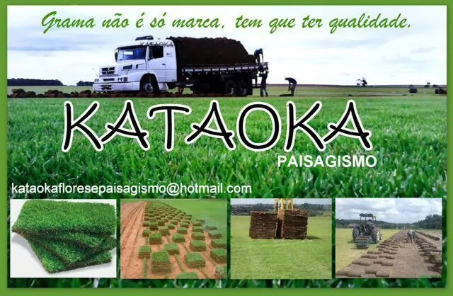 Imagem 5 da empresa GRAMA