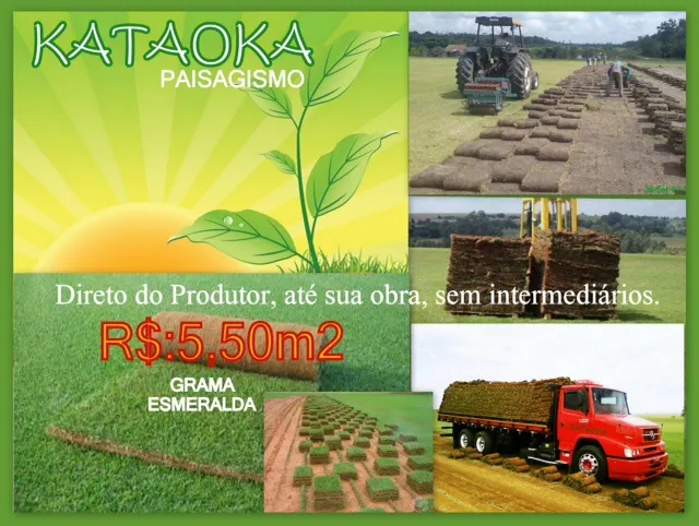 Imagem 3 da empresa GRAMA