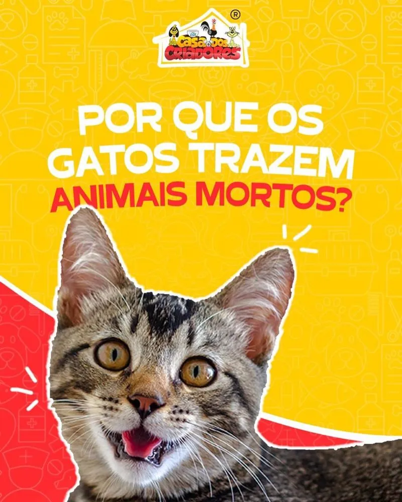 Imagem 3 da empresa CASA DOS CRIADORES - PET CENTER