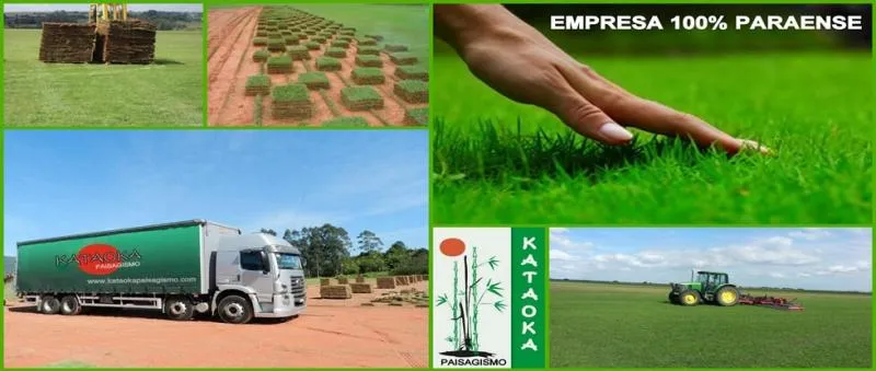 Imagem 6 da empresa GRAMA