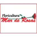 FLORICULTURA MAR DE ROSAS Floriculturas em Salvador BA