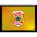 DETETIVE PARTICULAR Serviços Especiais em Brasília DF