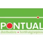 PONTUAL COMERCIAL LTDA