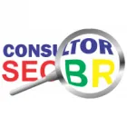 CONSULTOR SEO BR