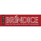 BRINDICE PUBLICAÇÕES E PROPAGANDA LTD