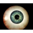 PRÓTESE OCULAR BRASIL RIO DE JANEIRO