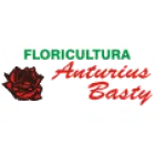 FLORICULTURA ANTURIUS BASTY