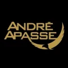 ANDRE APASSE LIFE & BUSINESS STRATEGIST