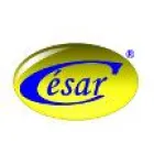 CESAR COMERCIO E REPRESENTAÇÕES LTDA