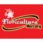 FLORICULTURA MERCURY
