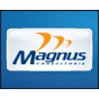 MAGNUS CONSULTORIA