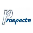 PROSPECTA AUDITORES ASSOCIADOS - PONTA AGUDA