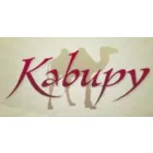 BOLSAS FEMININAS E BOLSAS DE COURO - KABUPY