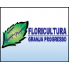 FLORICULTURA GRANJA PROGRESSO